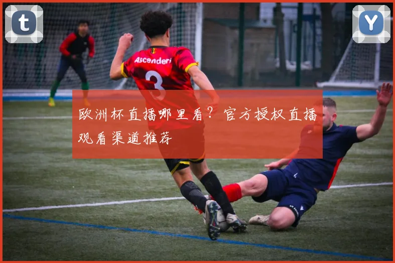 欧洲杯直播哪里看？官方授权直播观看渠道推荐