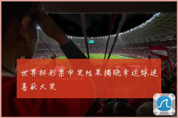 世界杯彩票中奖结果揭晓幸运球迷喜获大奖