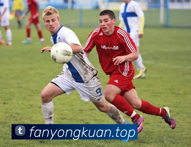 必一运动b官网平台生态图